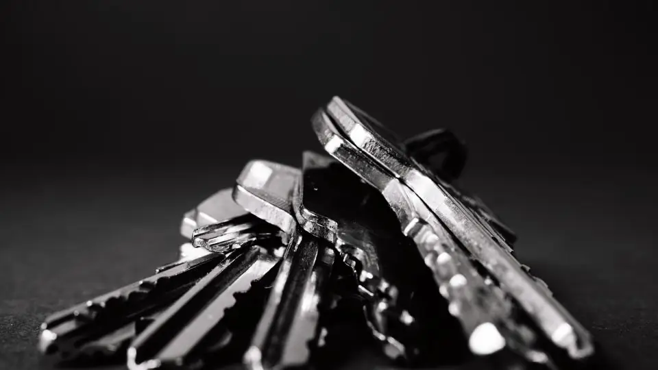 A small bunch of metal door keys lying on a dark surface, photographed in black and white.