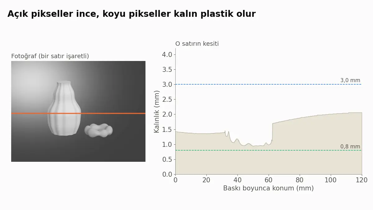 Bir satırı işaretlenmiş gri tonlu bir natürmort fotoğrafı ve o satırın litofan kesiti: fotoğrafın açık yerlerinde ince, koyu yerlerinde kalın, 0,8 ile 3,0 mm arasında.