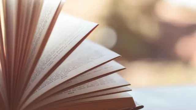An open book with its pages fanned out, the small printed text catching warm light from a window.