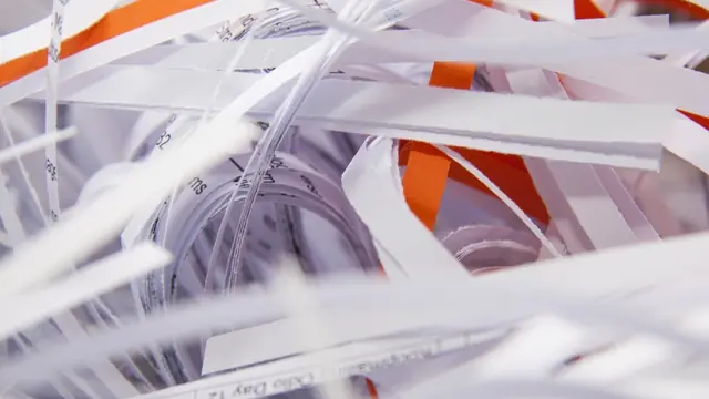 A close-up of shredded paper strips with fragments of printed words and numbers still readable on them.